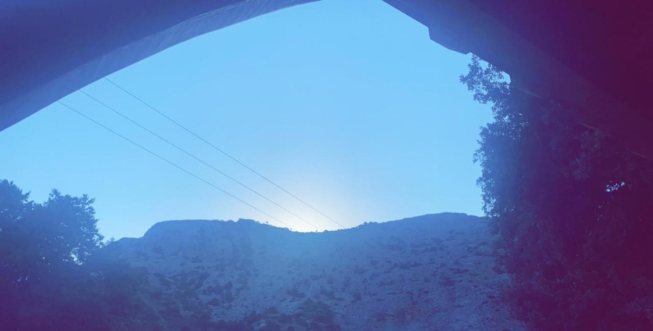 Penzion La Bergerie Du Chene Omessa Exteriér fotografie