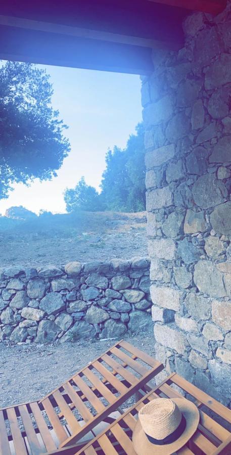 Penzion La Bergerie Du Chene Omessa Exteriér fotografie