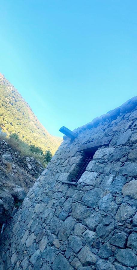 Penzion La Bergerie Du Chene Omessa Exteriér fotografie