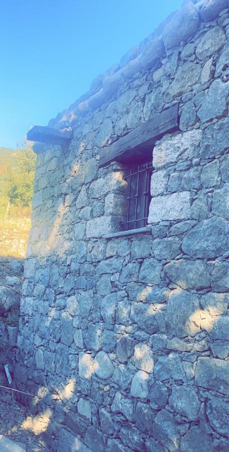 Penzion La Bergerie Du Chene Omessa Exteriér fotografie